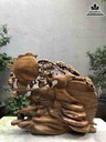 Tuong-Phat-Di-Lac-Ngu-Phuc-Go-Bach-Xanh