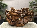 Tuong-Phat-Di-Lac-Keo-Bao-Tien-Go-Bach-Xanh-4