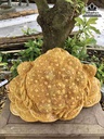 Tuong-Coc-Ngam-Tien-Go-Nu-Nghien-
