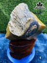 Tác Phẩm Gỗ Hóa Thạch 6kg