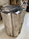 Tác Phẩm Gỗ Hóa Thạch Cao 50 Đường Kính 34-40 (cm)