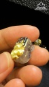 Tỳ Hưu Đá Thạch Anh Tóc Vàng Cao 15,9 Ngang 13 Sâu 10 (mm) 4,6gr
