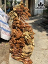 Tượng Phu Thê Viên Mãn Gỗ Hương Cao 157 Ngang 96 Sâu 38 (cm)