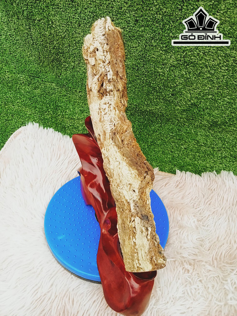 Tác Phẩm Gỗ Hóa Ngọc Cao 40 Đường Kính 7 (cm) 3kg