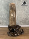 Tác Phẩm Gỗ Hóa Thạch Cao 45 Ngang 28 (cm) 4kg