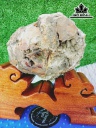 Tác Phẩm Gỗ Hóa Thạch Cao 16 Đường Kính 10 (cm) 1,2kg