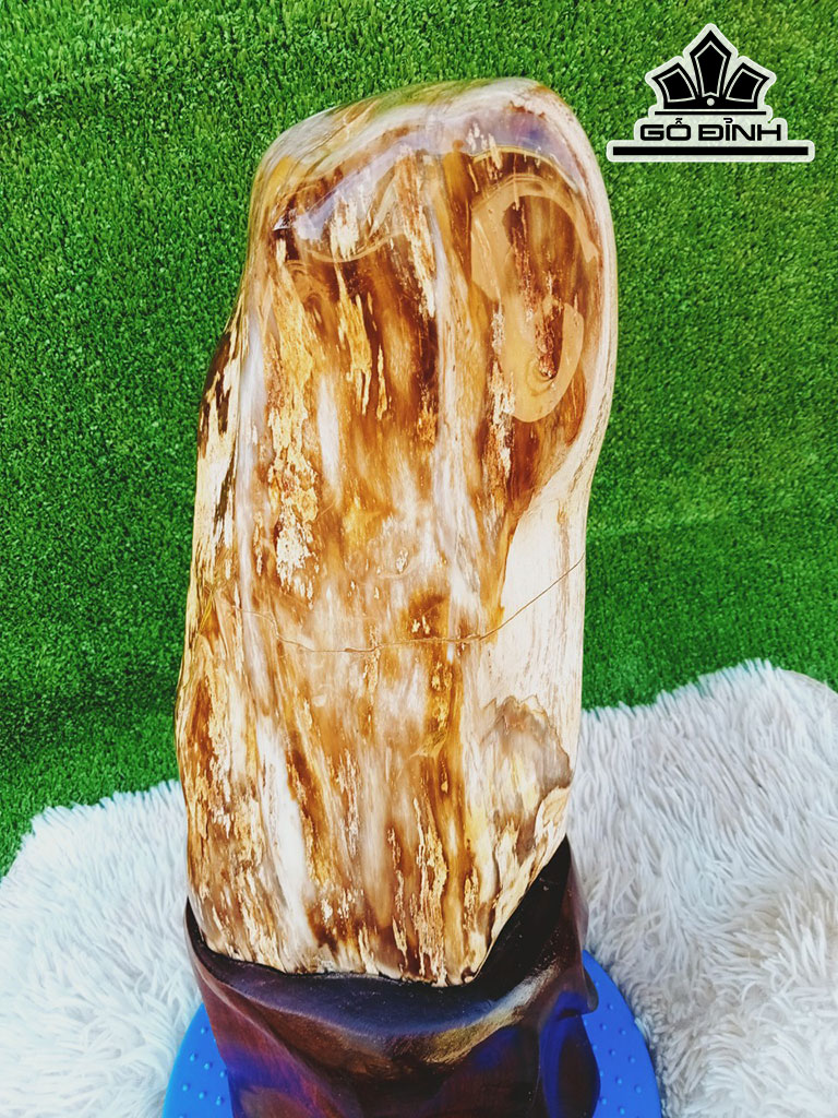 Tác Phẩm Gỗ Hóa Thạch Cao 43 Ngang 16 (cm) 9,8kg