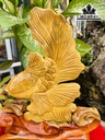 Ngữ Long Vượt Vũ Môn Đá Canxedon Cao 39 (cm) 2kg