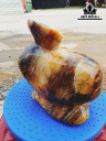 Tác Phẩm Gỗ Hóa Ngọc Cao 18 Ngang 17 (cm) 3,5kg