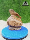 Tác Phẩm Gỗ Hóa Thạch Cao 20 Ngang 16 (cm) 3,5kg