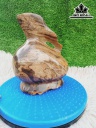 Tác Phẩm Gỗ Hóa Thạch Cao 20 Ngang 16 (cm) 3,5kg