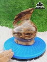 Tác Phẩm Gỗ Hóa Thạch Cao 20 Ngang 16 (cm) 3,5kg