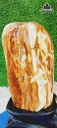 Tác Phẩm Gỗ Hóa Thạch Cao 22 Ngang 9 (cm) 1,8kg
