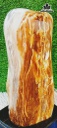 Tác Phẩm Gỗ Hóa Thạch Cao 22 Ngang 9 (cm) 1,8kg