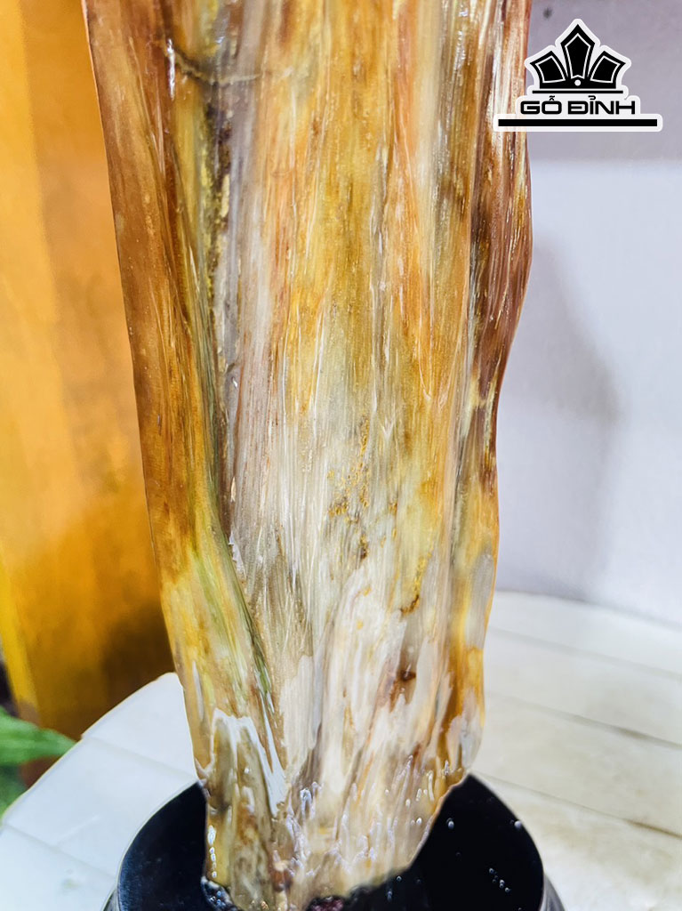 Tác Phẩm Gỗ Hóa Thạch Cao 39 Ngang 10 (cm) 3,2kg