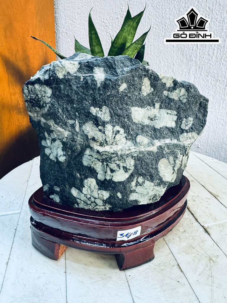 Tác Phẩm Hoa Cúc Hóa Thạch Cao 18 Ngang 17 (cm) 3,8kg