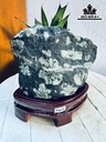 Tác Phẩm Hoa Cúc Hóa Thạch Cao 18 Ngang 17 (cm) 3,8kg