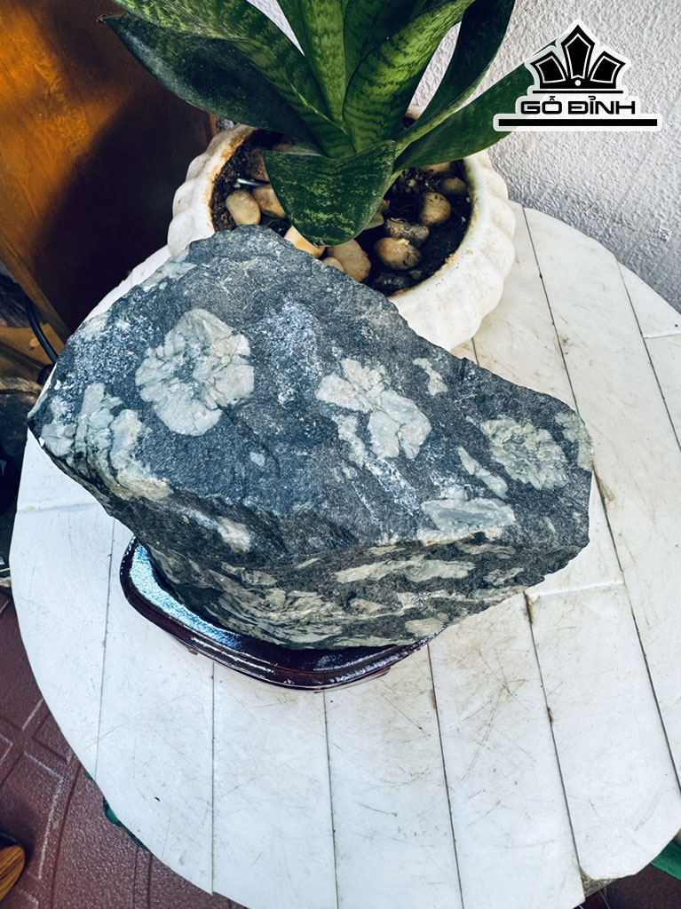 Tác Phẩm Hoa Cúc Hóa Thạch Cao 18 Ngang 17 (cm) 3,8kg