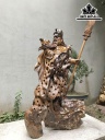 tuong-quan-cong-go-lua-bach-xanh-cao-110-ngang-78-sau-46-cm-428417