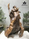 tuong-quan-cong-go-lua-bach-xanh-cao-110-ngang-78-sau-46-cm-428420