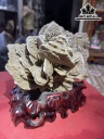 Tác Phẩm Bông Hoa Hóa Thạch Cao 28 Ngang 17 (cm) 1,8kg