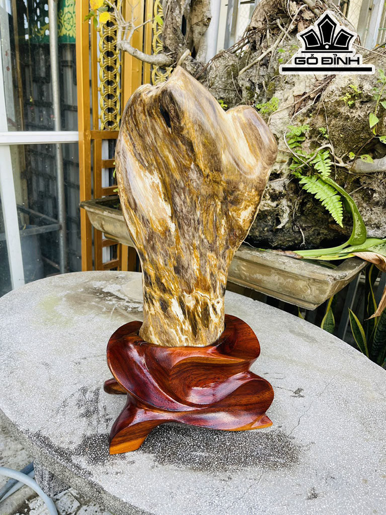 Tác Phẩm Gỗ Hóa Thạch Cao 55 (cm) 16,5kg