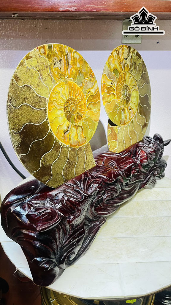 Cặp Ốc Anh Vũ Hóa Ngọc Cao 30 Ngang 38 (cm) 4,3kg