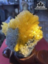 Bông Hoa Ưu Đàm Đá Trầm Tích Cao 20 (cm) 1,7kg