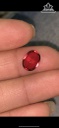 Viên Đá Garnet 3,35cts