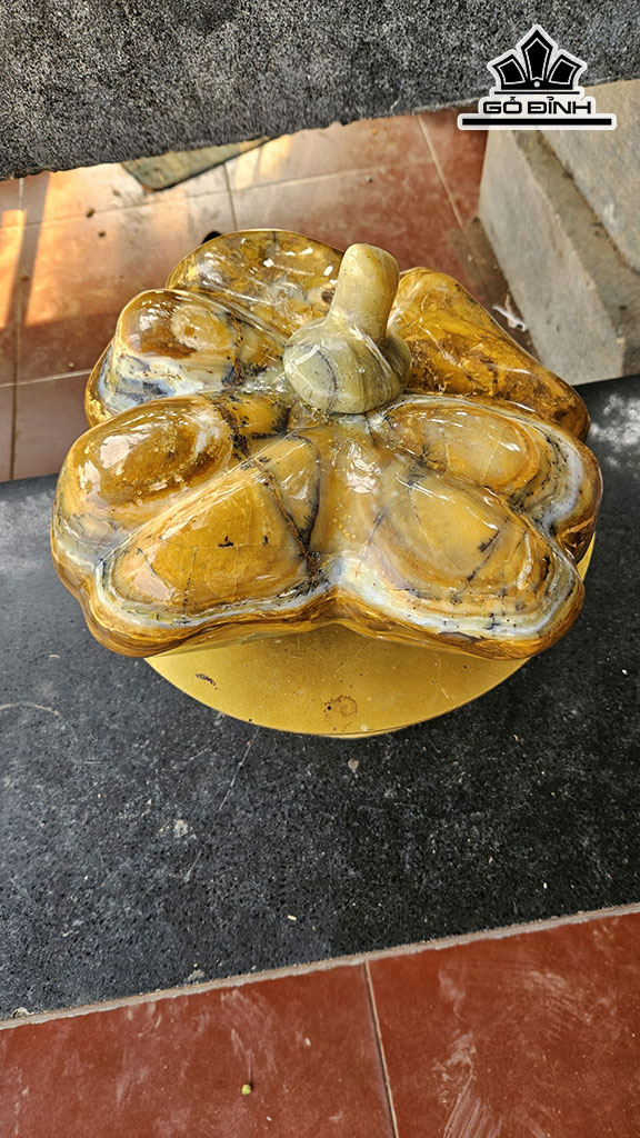 Trái Bí Đá Canxedon Đa Sắc Ngang 25 (cm) 10kg