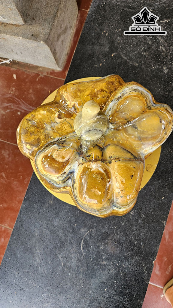 Trái Bí Đá Canxedon Đa Sắc Ngang 25 (cm) 10kg
