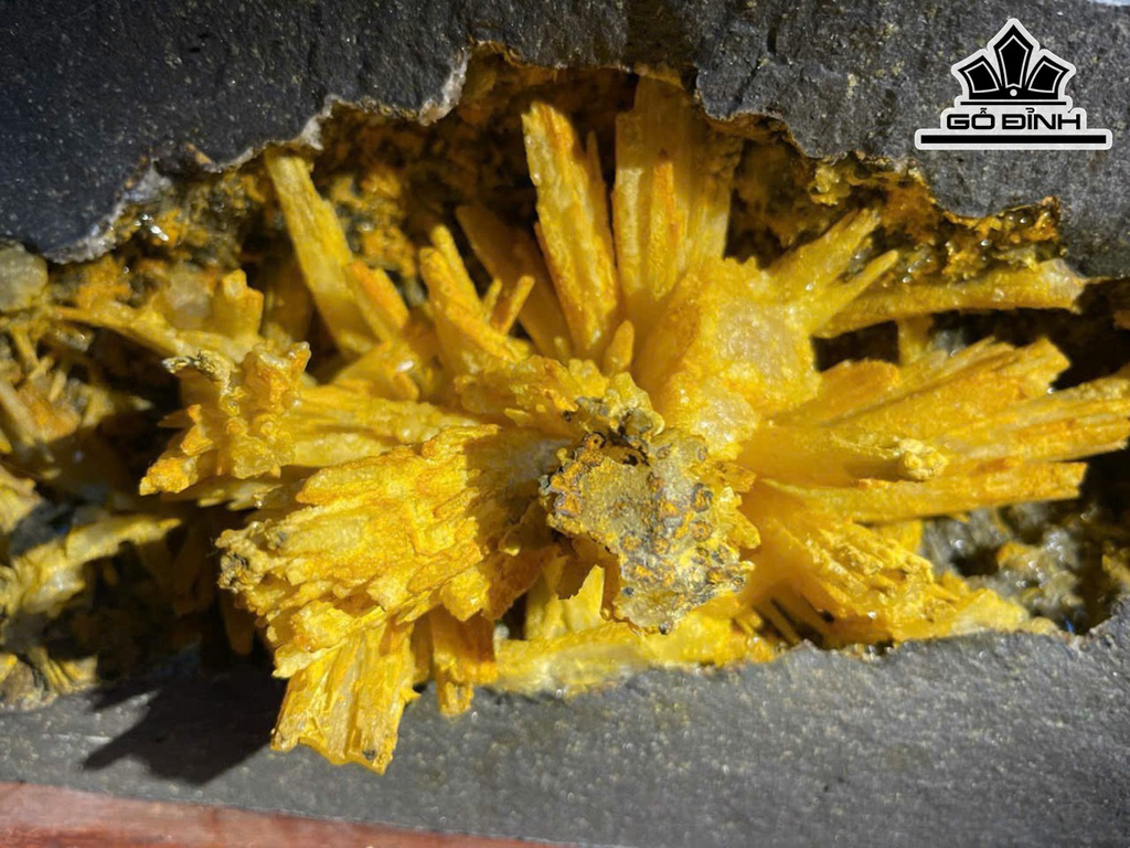 Bông Hoa Ưu Đàm Đá Trầm Tích Cao 29 Ngang 29 (cm) 22kg