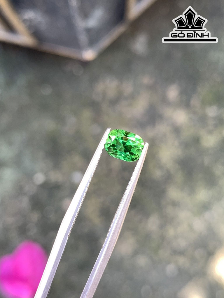 Viên Đá Tourmaline Cao 6,1 Ngang 4,7 Sâu 4,2 (mm)  0,85cts