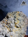 Vàng Găm Tinh Thể Đá Pyrite Cao 24 Ngang 18 (cm) 3,2kg