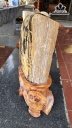 Tác Phẩm Gỗ Hóa Thạch Cao 36 Ngang 18 (cm) 9kg
