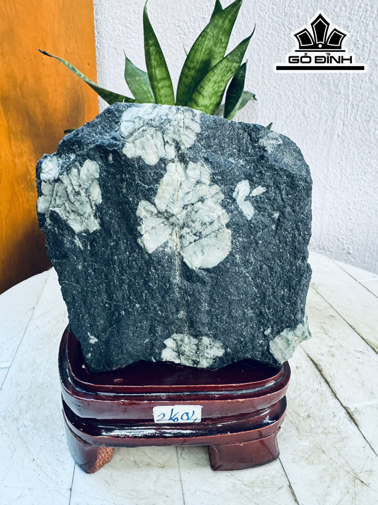 Tác Phẩm Hoa Cúc Hóa Thạch Cao 17 Ngang 12 (cm) 2kg