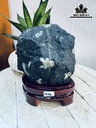 Tác Phẩm Hoa Cúc Hóa Thạch Cao 17 Ngang 12 (cm) 2kg