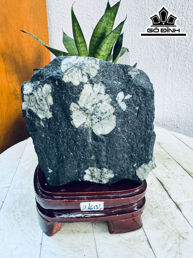 Tác Phẩm Hoa Cúc Hóa Thạch Cao 17 Ngang 12 (cm) 2kg