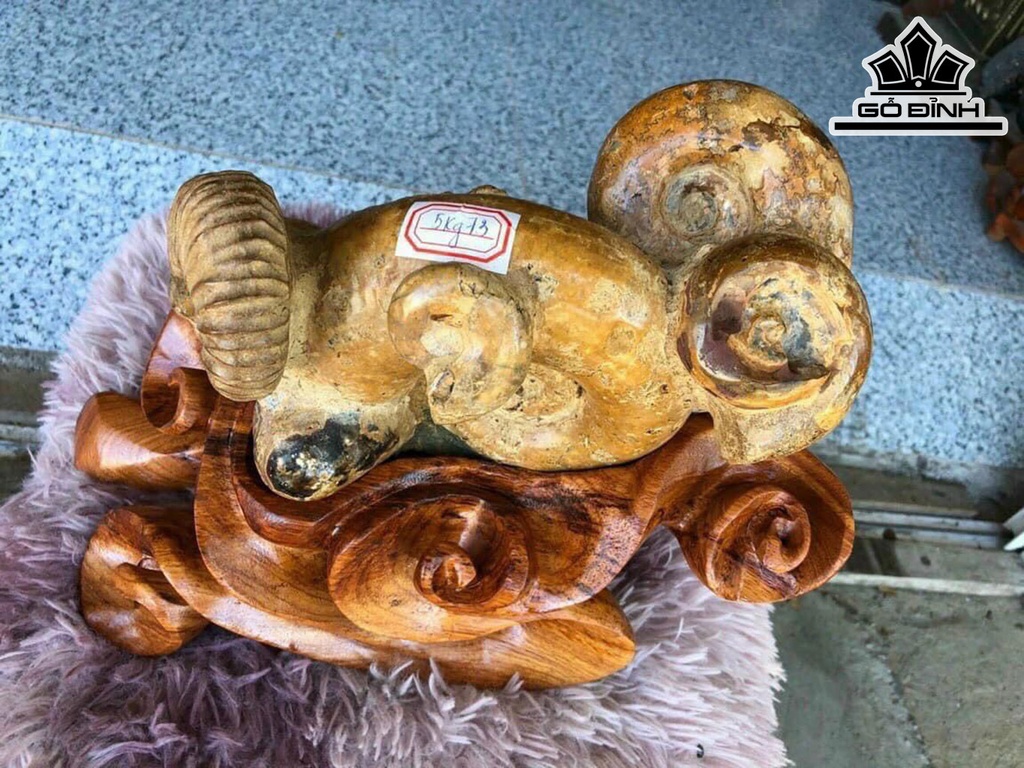 Tác Phẩm Ốc Hóa Thạch Cổ Đại Cao 26 Ngang 25 (cm) 5kg