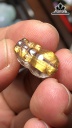 Mặt Dây Chuyền Tỳ Hưu Đá Thạch Anh Tóc Nâu Cao 16,5 Ngang 9,4 Sâu 7,7 (mm) 2g