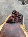 khay-tra-coc-go-nu-trac-dai-54-rong-12-sau-32-cm-437847
