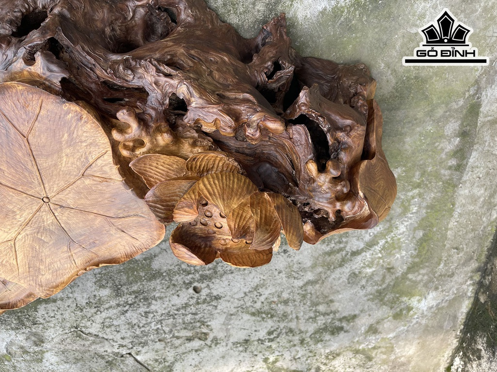 khay-tra-la-sen-go-bach-xanh-cao-27-ngang-82-sau-40-cm-437857