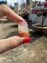 Mặt Dây Chuyền Thỏ Băng Đá Mã Não Nam Hồng Cao 27,6 Ngang 17,7 Sâu 9,9 (mm) 8,7g