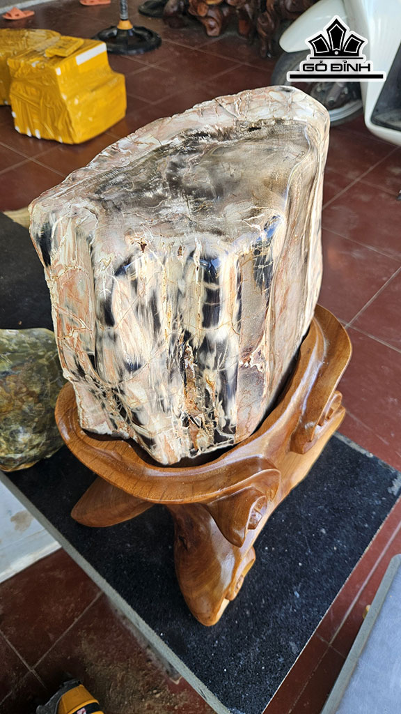 Tác Phẩm Gỗ Hóa Thạch Cao 50 Ngang 30 (cm) 36kg