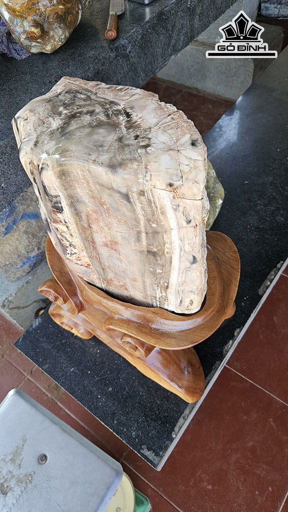 Tác Phẩm Gỗ Hóa Thạch Cao 50 Ngang 30 (cm) 36kg