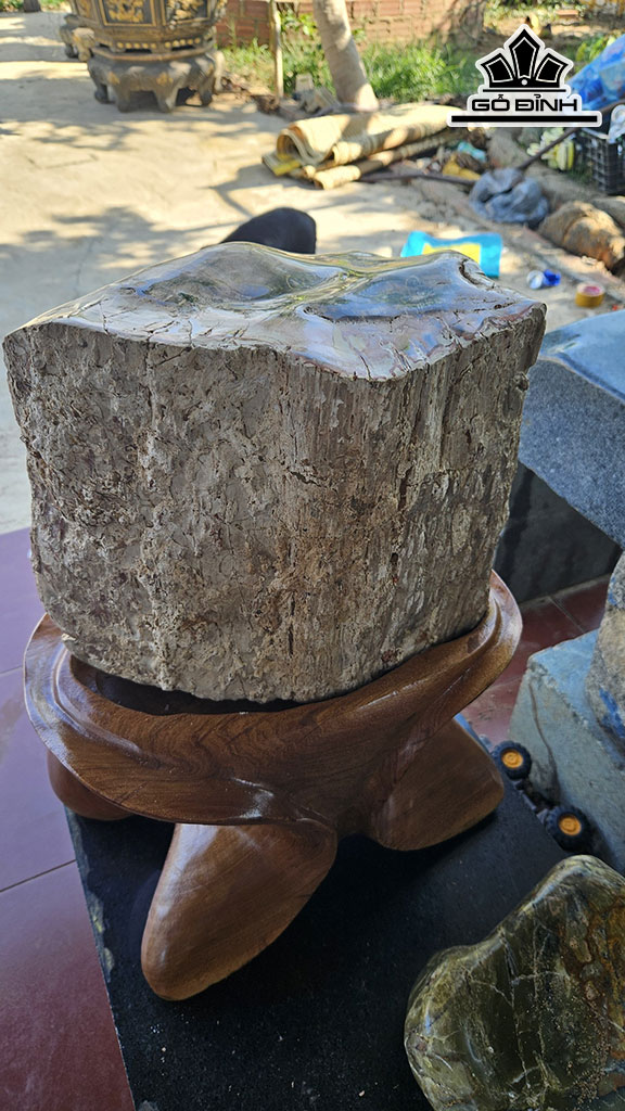 Tác Phẩm Gỗ Hóa Thạch Cao 50 Ngang 30 (cm) 36kg