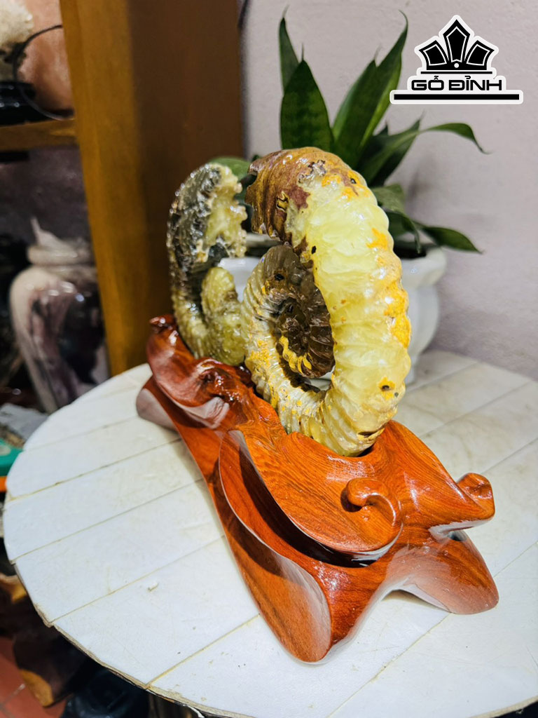 cap-oc-anh-vu-hoa-ngoc-cao-19-ngang-22-cm-18kg-439840