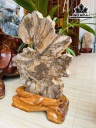 Tác Phẩm Khúc Gỗ Hóa Thạch Xẻ Lát Dáng Bonsai Cao 58 Ngang 40 (cm) 20kg