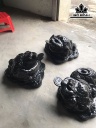 Cụ Thiềm Thừ Đá Đen Bồ Kết Yên Bái Cao 20 Ngang 25 (cm) 11-15kg