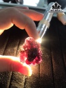 Mặt Dây Chuyền Rồng Đá Garnet Hồng Lựu Cao 32 Ngang 39 (mm) 120cts